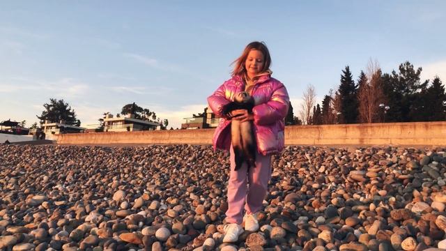 Январь в Сочи. Погода в Сочи зимой. Сочи сегодня. Сколько туристов в Сочи в новогодние каникулы.