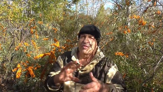 Как выбрать охотничий участок Канал Таёжная обитель Николая Абоимова