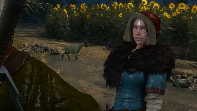 Ведьмак 3 Дикая Охота.Ностальгическое прохождение.Часть 82.Смертельный заговор