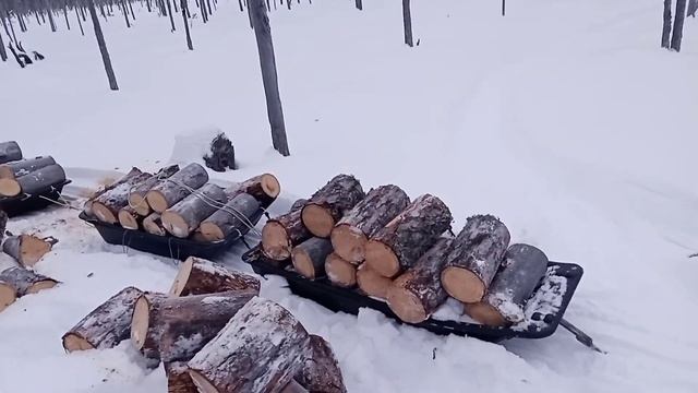 Мотобуксировщик на 380 гусенице с дровами