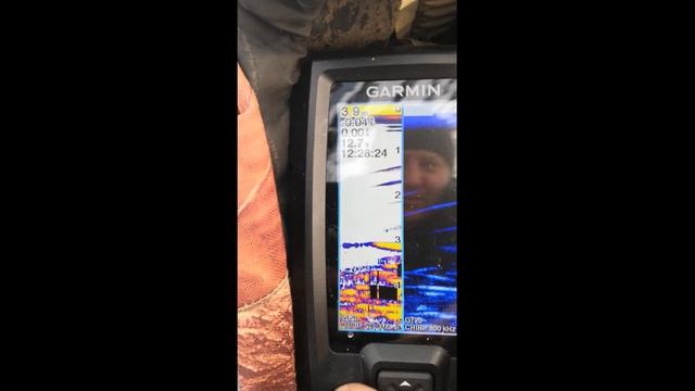 Эхолот Garmin Striker Plus 4cv. Зимняя рыбалка. Как эхолот отображает рыбу и большой косяк рыбы!