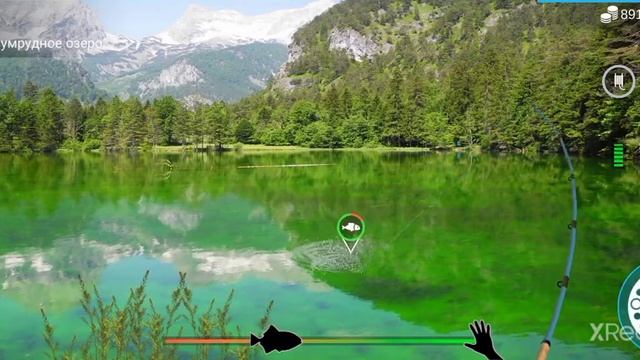 как быстро прокачать 25 ранг в my fishing world