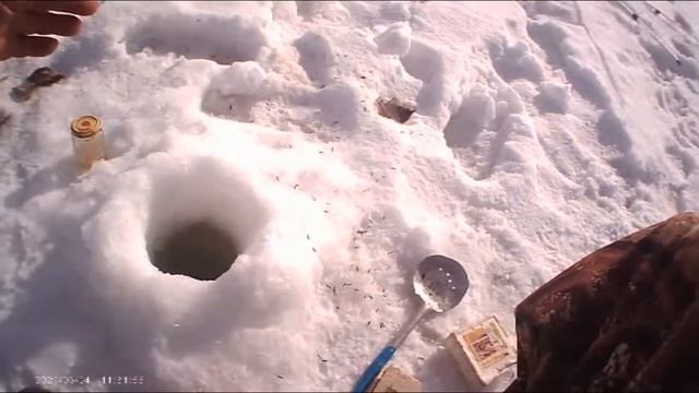 Зимняя рыбалка! Тестируем прикормку из яблочного уксуса. морской соли ,чеснока. подводная съемка!
