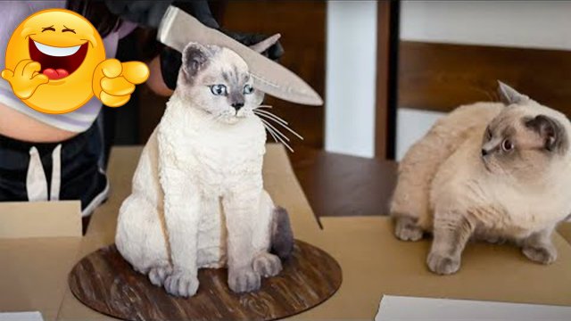 САМЫЕ СМЕШНЫЕ ЖИВОТНЫЕ / Приколы с котами и собаками 2022 / Лучшее за месяц #2