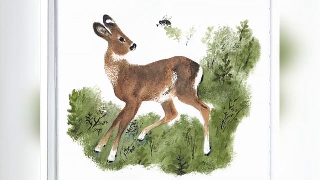 Сказка Хвосты ➠ Виталий Бианки