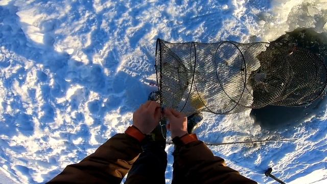 РЫБАЛКА НА ВЕРШУ. ЗИМНЯЯ РЫБАЛКА В СИБИРИ. ПРОВЕРКА МОРДУШЕК №1