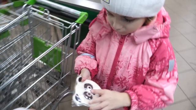 VLOG Зоомагазин. Сюрприз для Алисы