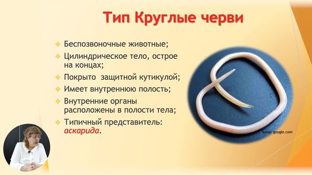 8й класс; Биология; "Тип Плоские черви, круглые черви, кольчатые черви"