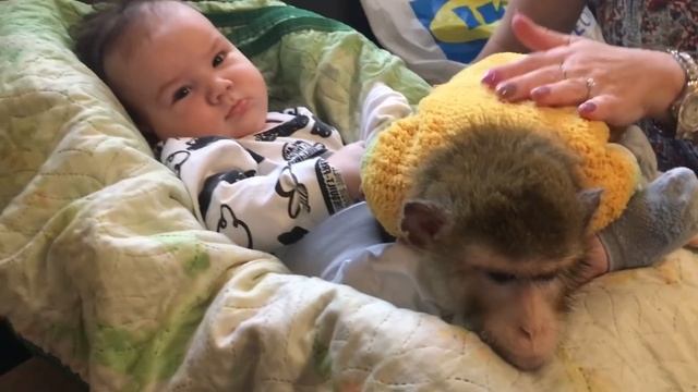 Ребята и Зверята Захар и Катя