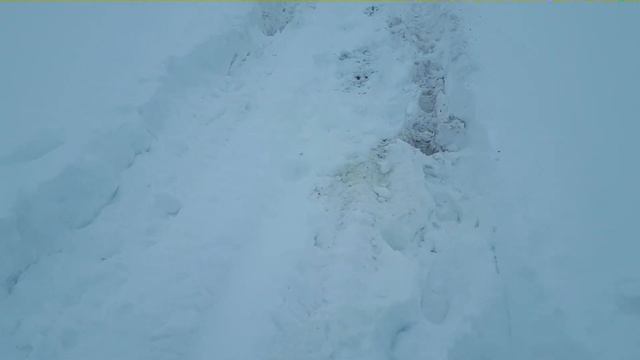 НИВА 2121(сток) по снегу на зимней резине кама И-511 05.01.2022