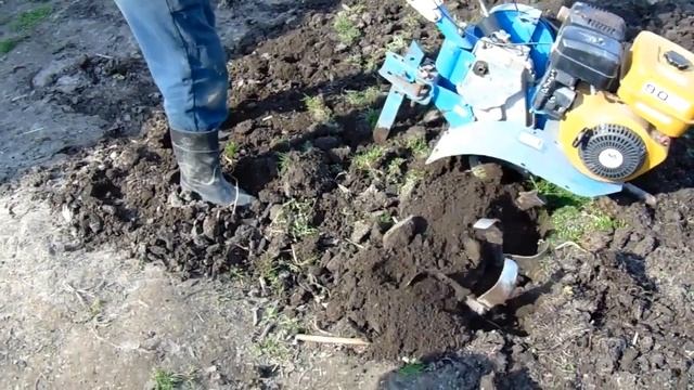 Учимся пахать огород мотоблоком Нева