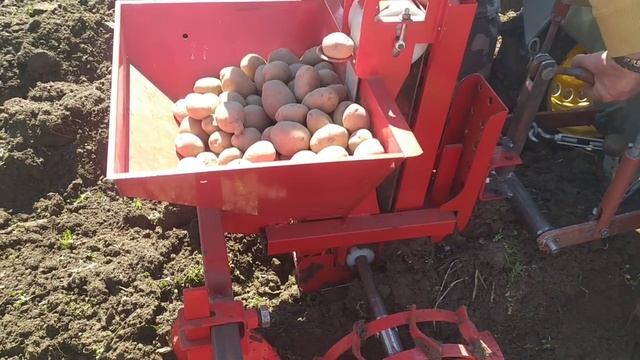 посадка картошки сажалкой для минитрактора