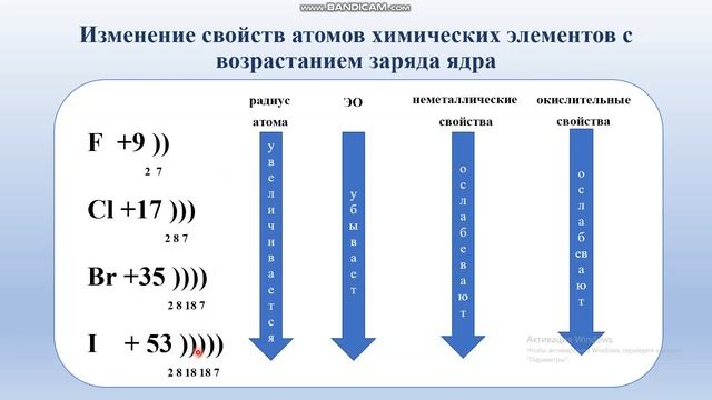 Общая характеристика химических элементов галогенов