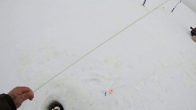 Рыбалка На Ха ХА ХаПуГу Рыбалка На Судака и Окуня Хапуга Пружинная