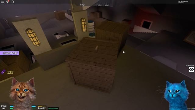 СПАСУТСЯ ЛИ КОТЫ ОТ ЗОМБИ В РОБЛОКС?! КОТИК ИГРОМАН и КОТЁНОК ЛАЙК ROBLOX ZOMBIE