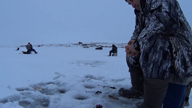 Ловля карася зимой