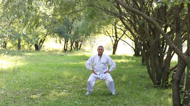 8 кусков парчи с разъяснением