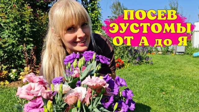 Эустома взойдёт 100%! ПОШАГОВАЯ инструкция посева и СЕКРЕТЫ выращивания