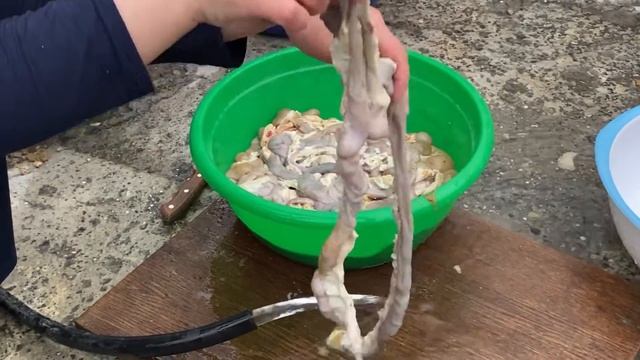 Кишки. Требуха. Как чистить кишки