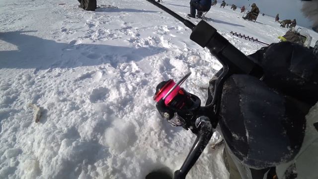 БЕШЕНЫЙ клев ЗУБАРЯ. Поймали ТРИ МЕШКА рыбы. Показываю на ЧТО ПОЙМАЛ. Зимняя РЫБАЛКА на КОРЮШКУ.