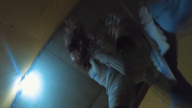 COVID-19 ZOMBIE 3 APOCALYPSE ESCAPE