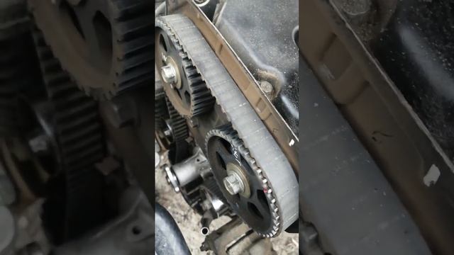 Немного о замене ремня ГРМ Кия Спектра