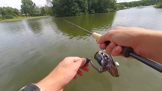 Что может спиннинг для твичинга. GAD Chaser. Хочется оставить себе!