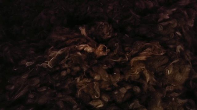 Освенцим, Аушвиц. Газовые камеры, или стены смерти. Auschwitz - Oświecim, Poland