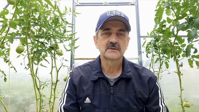 Как правильно установить теплицу. Все секреты по установке теплиц.