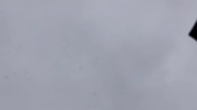 Голуби Свердловские высоколётные