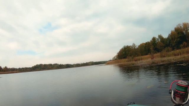 Клюёт как большая. Спиннинг MIFINE ENIGMA.