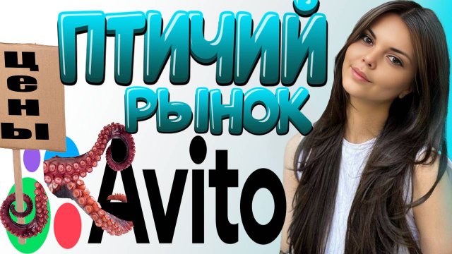 Обзор цен Птичий рынок Москва Садовод Август 2024 Обзор товаров и цен. новости сегодня