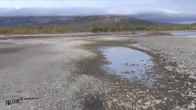 Охота на чукотского лося/медведя/оленя. Чукотка. 2017.