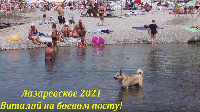 Виталий на боевом посту! Июль 2021. ?ЛАЗАРЕВСКОЕ СЕГОДНЯ?