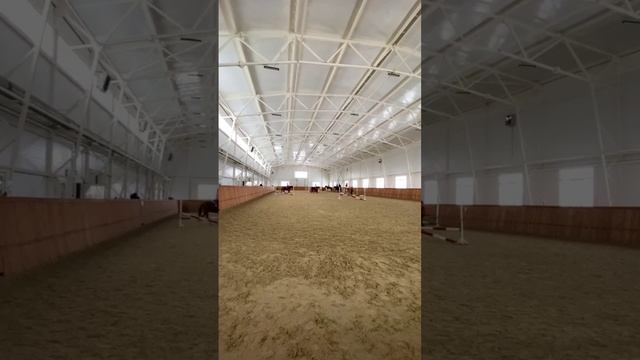 Групповые занятия в большом теплом манеже!