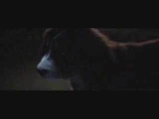 Муму-2 или "Не трогайте собачку!".wmv