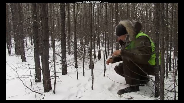 Как поставить петли на зайца ,часть 1-1