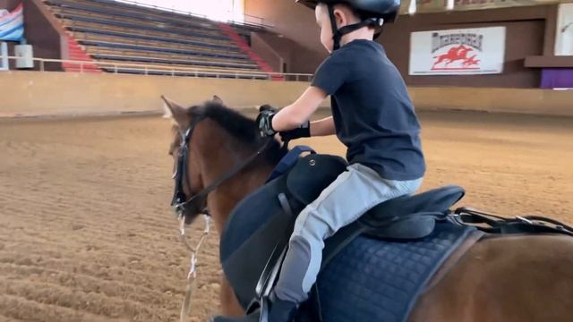 ТРЕНИРОВКА НА ПОНИ/ ДЕТИ УЧАТСЯ ЕЗДИТЬ НА ПОНИ