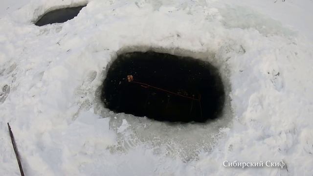 Рыбалка на Мордушку/Зажарил Копыта от КРС/Рыбалка на Копыта/Оживление Ротана