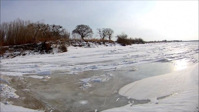 Зимняя рыбалка на амуре. Щука чуть не украла сига!