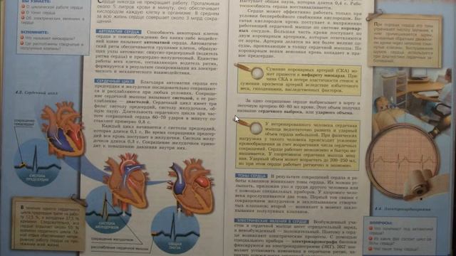 Биология (Л.Н.Сухорукова) 8к §23 Работа сердца