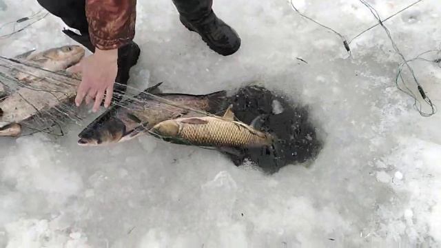 ЗИМНЯЯ РЫБАЛКА 2020 НА СЕТИ!!! ОТЛИЧНЫЙ ЛОВ)!!