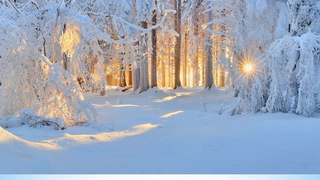 Видео-урок.  Тема_ _ Зимние месяцы_