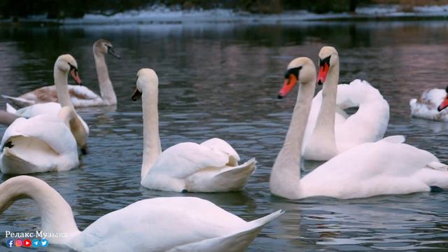 "ДОРОГА В НЕБЕСА" Три месяца я слушала только эту музыку... До слез красивая мелодия