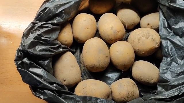 Любимая картошка Гала ,как хранится зимой и при какой температуре? Отварная - не водянистая !!!