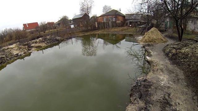 Выращивание карпа в маленьком пруду возле дома, эксперимент. ч12.