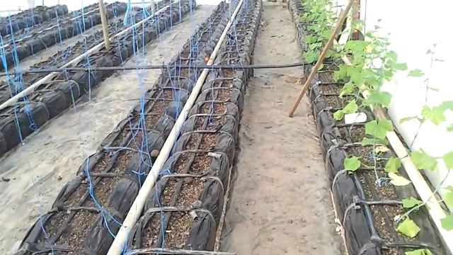 Отопление в теплице  дизельная пушка и таймер