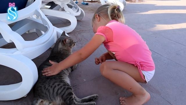 Эмма и ЕГИПЕТСКИЙ КОТ ??