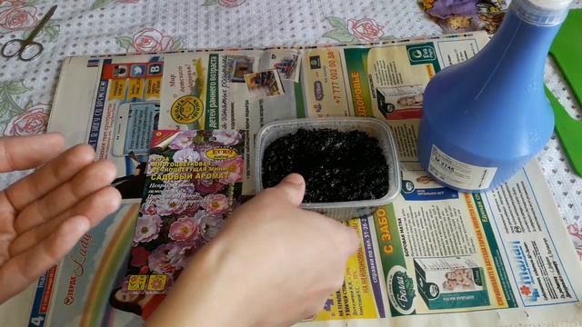 Роза из семян.Выращивание.Советуем его посмотреть.