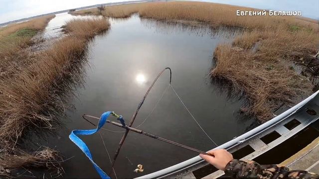 РЫБАЛКА на ПАУК ПОДЪЁМНИК . КАРАСИ ПРУТ ТОЛПОЙ. ???#рыбалканапаук #весенняярыбалка